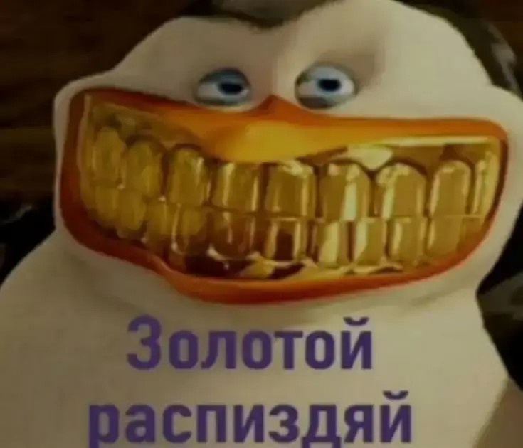 Создать мем: кот с золотыми зубами, шкипер с зубами, пингвин с золотыми зубами