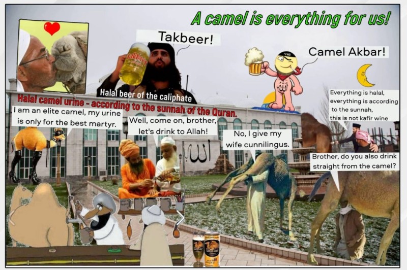 Create meme: girl , dr. zakir naik uzbek tilida, camel urine