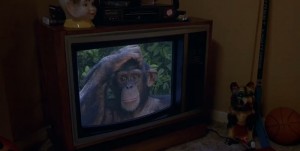 Create meme: monkey, TV