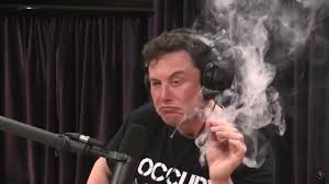 Create meme: Ilona musk, Elon musk shocked, elon musk smoking