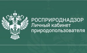 Создать мем: федеральная служба по надзору в сфере природопользования, росприроднадзор, росприроднадзор лого