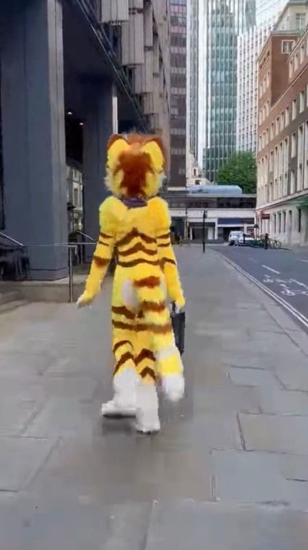 Create meme: fursuit, cat , tiger tiger fursuit