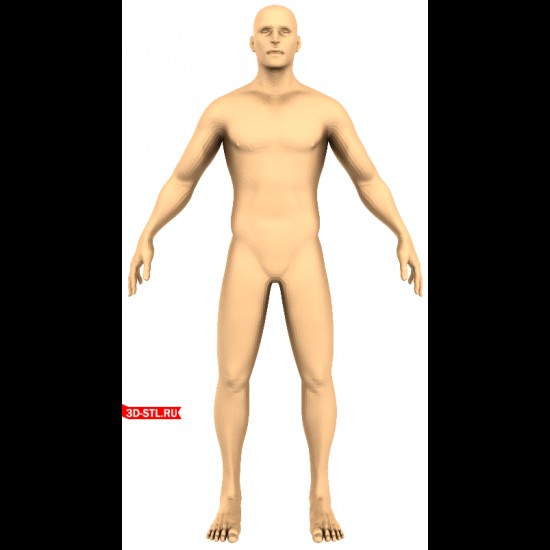 Create meme: The mannequin is male realistic, The mannequin is a man's body, mannequin male