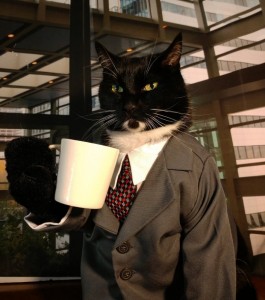 Create meme: cat in a business suit, cat, business cat