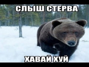 Create meme: bear bear, grizzly bear, bear rod