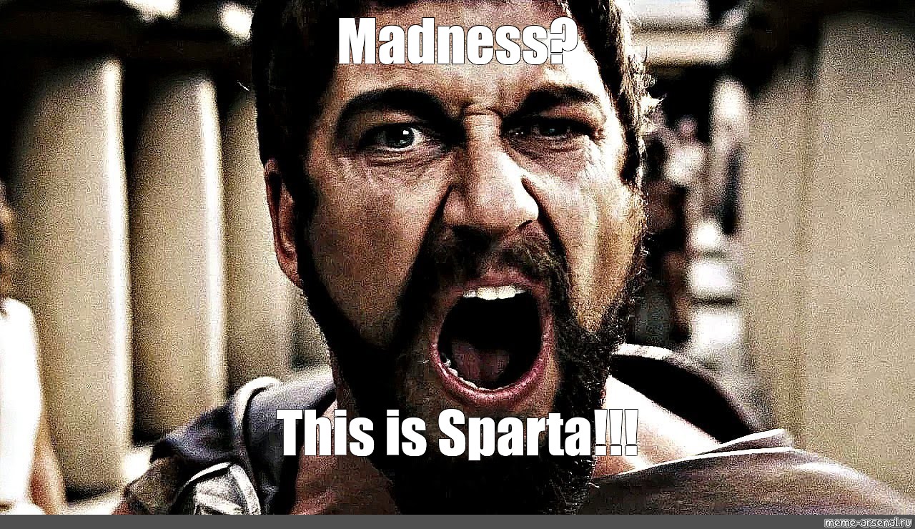 300 - This is madness. This is Sparta. animated gif