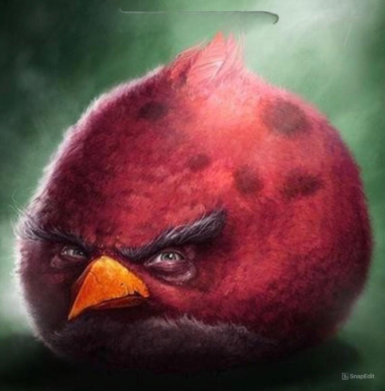 Создать мем: red angry birds, sam spratt angry birds, злая птица из энгри бердз