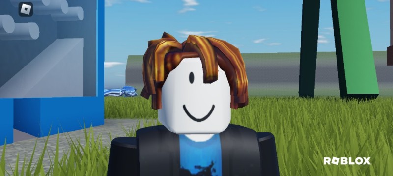 Создать мем: грустный роблокс, roblox bacon hair, roblox bacon