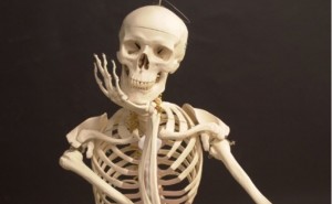 Create meme: photo Hector skeleton, calavera, the skeleton in the trunk