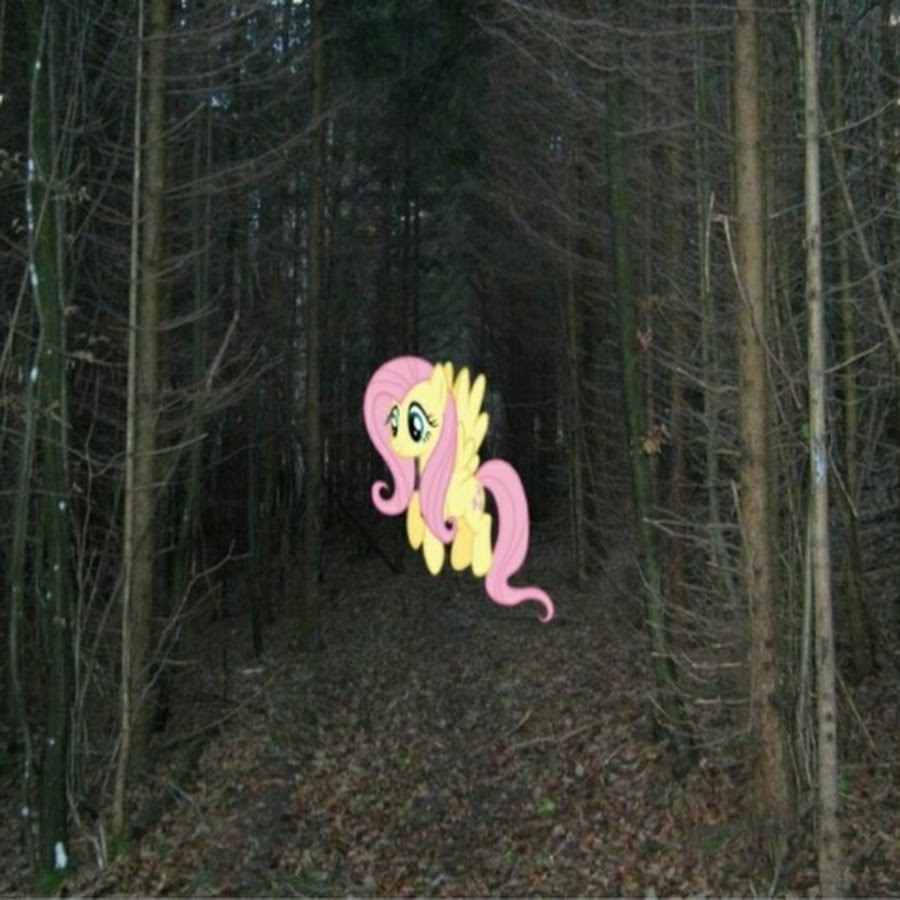 Create meme: fluttershy pony , Midnight Fluttershy Pony, The forest of Fluttershy