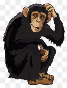Создать мем: шимпанзе лицо, обезьяна шимпанзе, обезьяна горилла