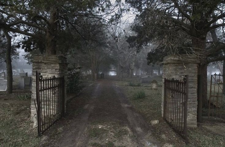 Create meme: darkness, Stephen King abandoned cemetery, cemetery gates