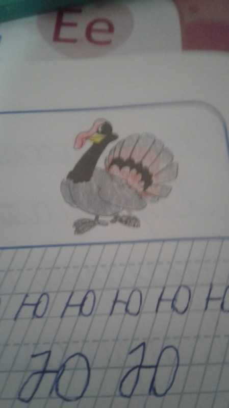 Create meme: drawing of a turkey, turkey bird, Turkey 