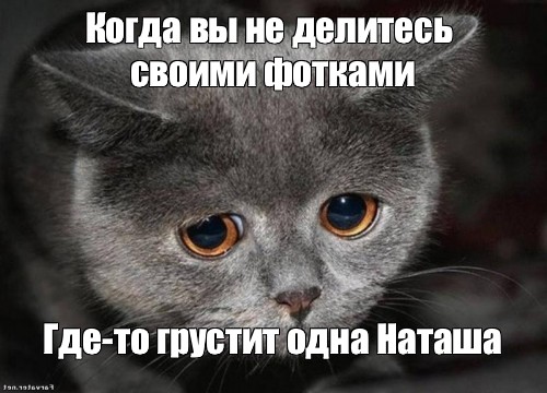 Грустный мем звук. Грустные мемы. Котик грустит Мем. Грустные котики мемы. Когда где-то грустит котик.