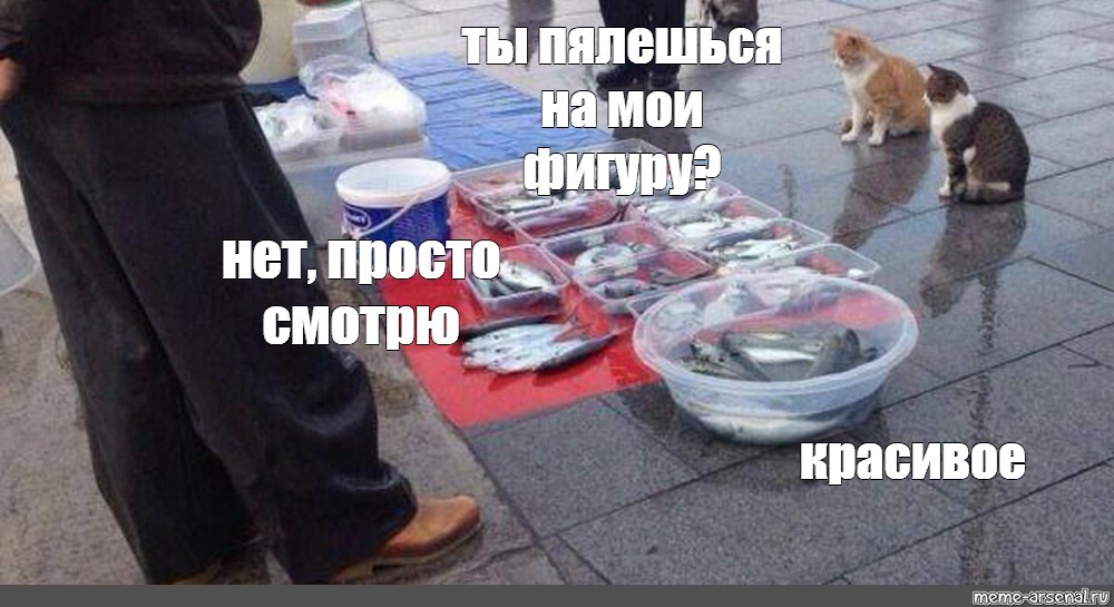 Отправить ВКонтакте. #кот и рыба мем. из шаблона. 