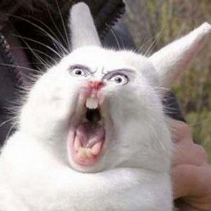 Create meme: screaming rabbit meme, screaming hare , screaming Bunny meme