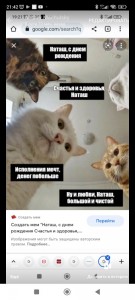 Создать мем: мем кот, кошки смешные, мемы