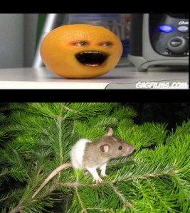 Создать мем: Надоеливый апельсин и мышка норушка