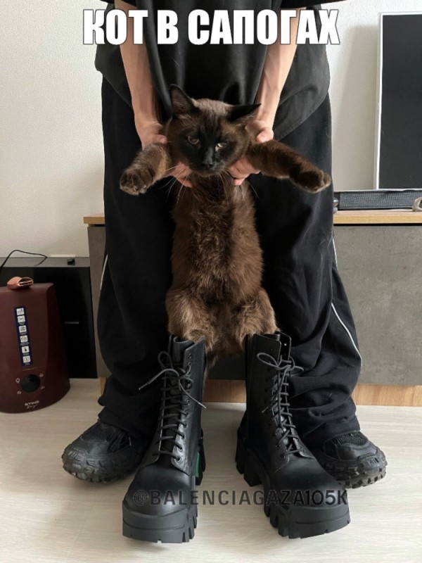 Create meme: cat , The cat in boots, cat in boots