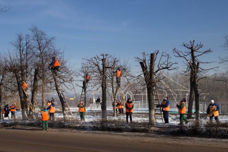 Create meme: molding pruning of trees, pruning, spring has come 