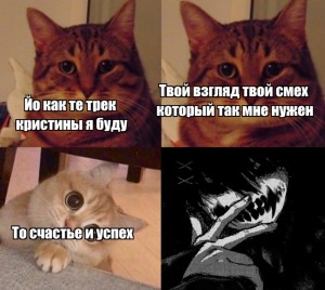 Create meme: the meme with the cat and the cat, meme cat, cat meme