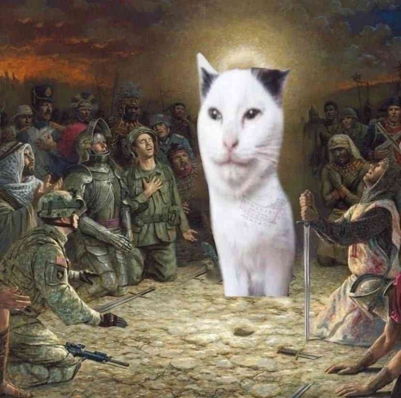 Create meme: cat adolf, Kote , Russian cats