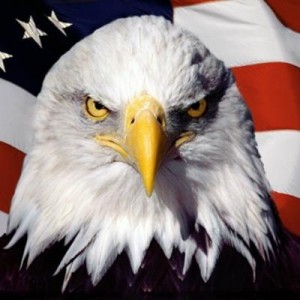 Create meme: USA, american, usa eagle