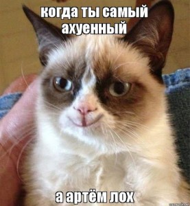 Создать мем: смешные коты, хмурый кот, grumpy cat meme