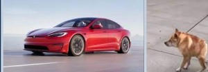 Создать мем: тесла автомобиль, тесла модель, tesla новая