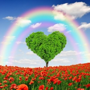 Создать мем: poppy, spring, дерево в форме сердца