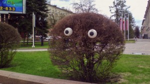 Создать мем: дерево с глазами, куст, прикольные кусты