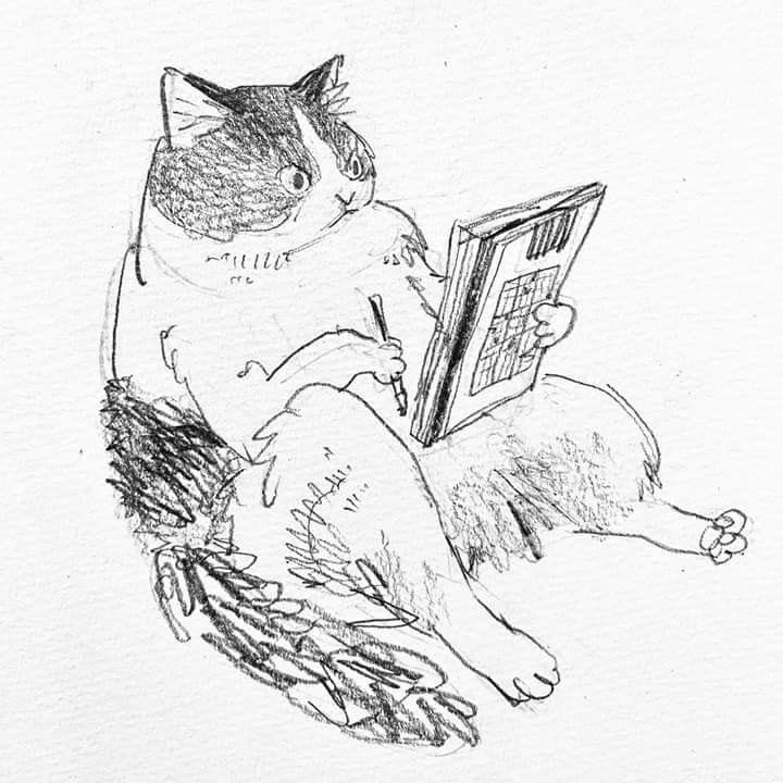 Create meme: the author of drawings with cats, sketches by artists, illustration of cat