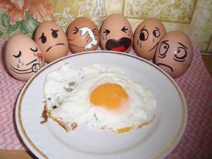 Create meme: people with a sense of humor, eggs, egg