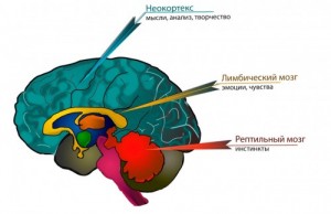 Создать мем: Мозг Админа красный