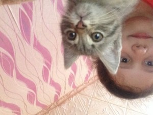 Create meme: The cat and the woman on the ceiling 
