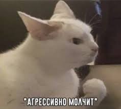 Create meme: white cat, cat, cat