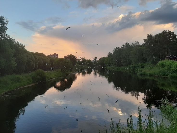 Create meme: ugra river, river nature, river 