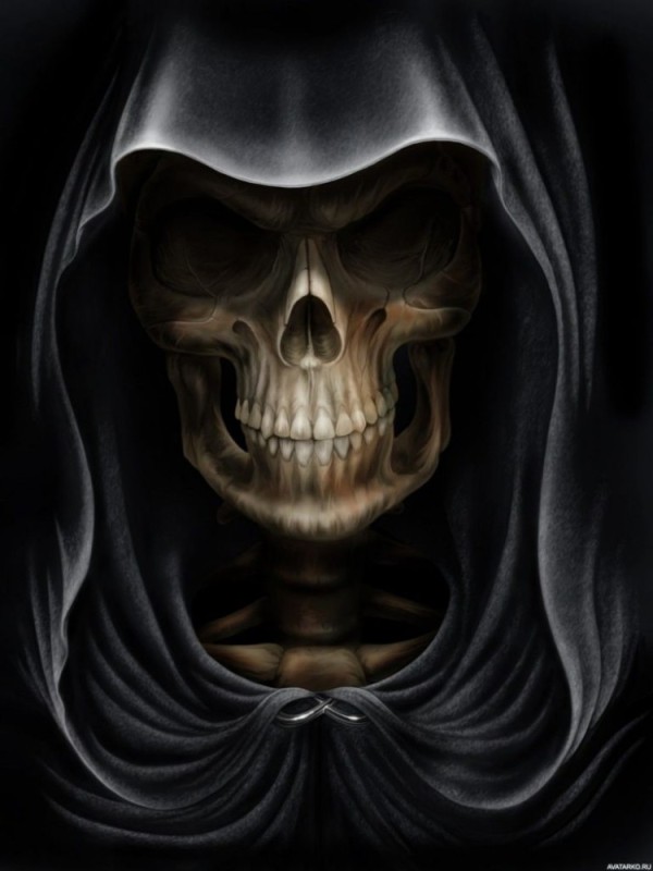 Create meme: the skull in the hood, a skeleton in a hood, skeleton in a hood art