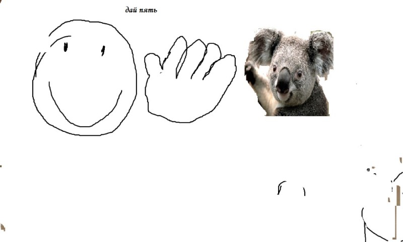 Создать мем: коала мем, коала, медведь коала