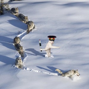 Создать мем: волчара лапищи, шерстяной волчара, волки идут в снегу