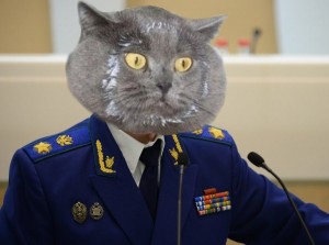 Создать мем: кот чиновник, кот, юрий чайка 2020