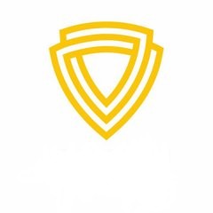 Create meme: icon design, shield logo, logo template