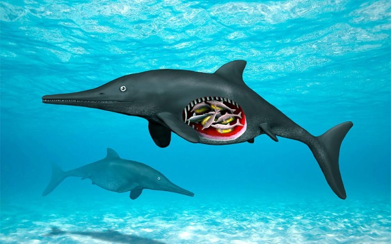 Create meme: Ichthyosaurus, The ichthyosaur shark, killer whale ichthyosaurus