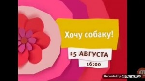 Создать мем: оформление телеканала карусель 2015, хочу собаку, карусель анонсы 2013