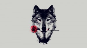 Создать мем: wolf, волки рисунки, волк с розой