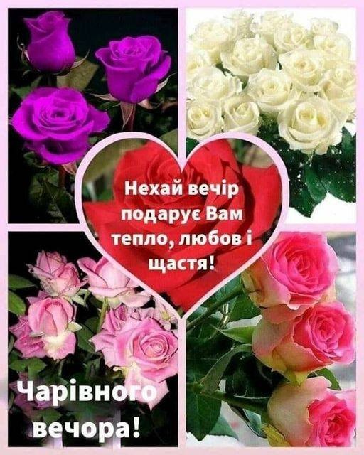 Create meme: greeting cards, roses , good morning beautiful roses