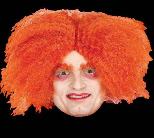 Create meme: the clown wig, The hatter's wig, Curly red-haired clown