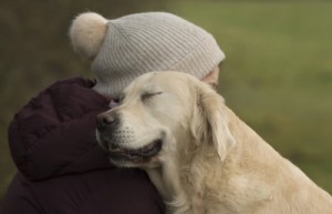 Создать мем: murphy, красивые фото с собаками и человеком, dog