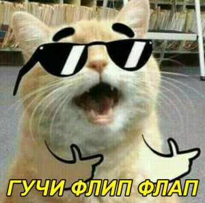 Создать мем: кот deal with it, кот наглый, мемы с котами