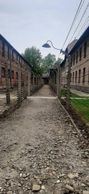 Create meme: Auschwitz , the Auschwitz torture yard, auschwitz birkenau